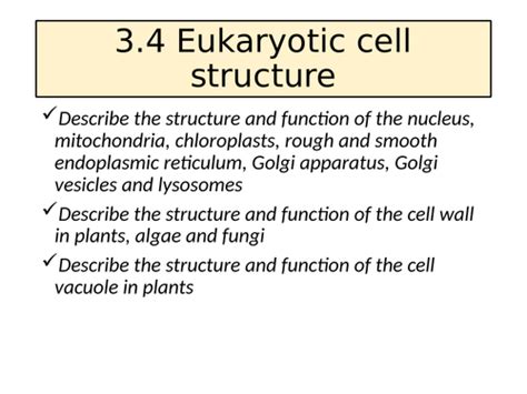 34 Eukaryotic Cell Structure Aqa A Level Teaching Resources
