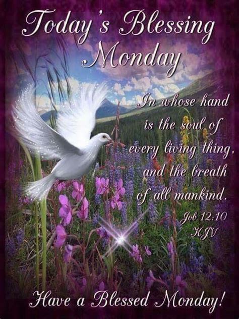 Todays Blessing Monday Pictures Photos And Images For Facebook