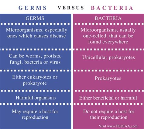 Difference Between Germs And Bacteria Pediaacom