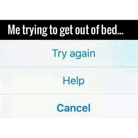Getting Out Of Bed I Tried Try Again Funny Memes Hilarious Memes