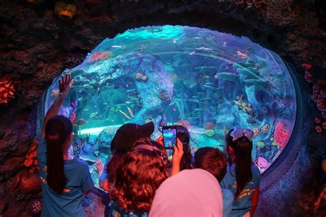Sea Life Malaysia Opens At Legoland® Malaysia Resort Mellow 947