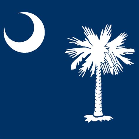 South Carolina State Flag Stencil Sp Stencils