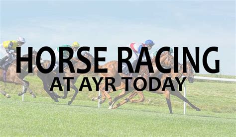 Ayr Racecourse Guide Fixtures Betting And Tips May 2023