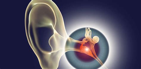 Read More About Middle Ear Infection American Hospital