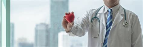Cardiovascular Disease Doctor Or Cardiologist Holding Red Heart In Clinic Or Hospital Exam Room