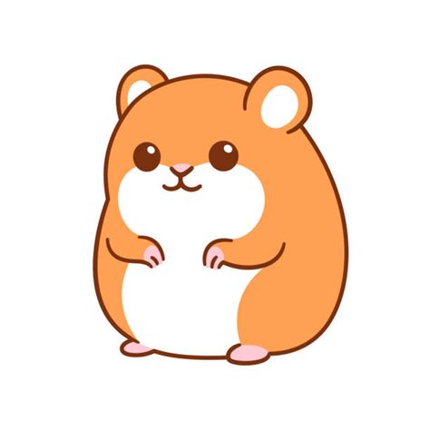 Cartoon Of A Hamster Funny Illustrations Royalty Free Vector Graphics