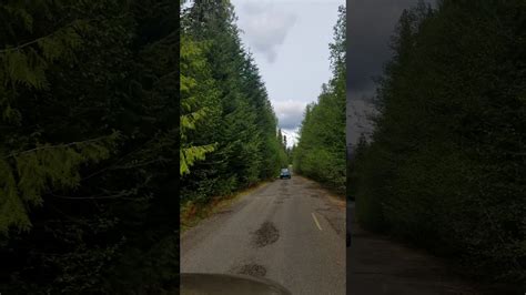 Video Of Ford Pinchot National Forest Wa From Shawna B Youtube