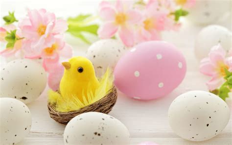 Easter Chicks And Eggs Wallpapers Wallpaper Cave