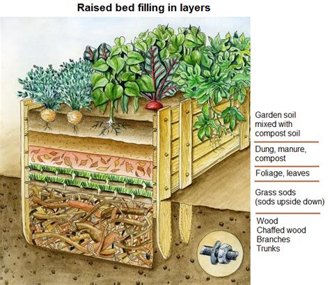 How To Layer Soil In A Raised Garden Bed Fasci Garden