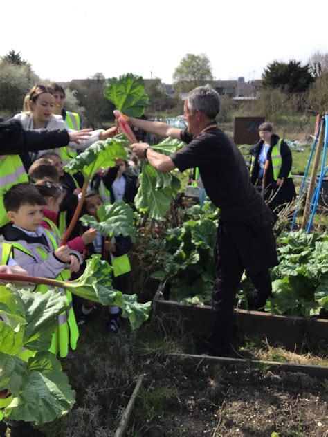Year 1 Allotment Trip Wickford Primary School