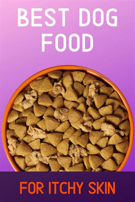 Top 5 Best Dog Food For Itchy Skin 2020 Dog Food Recipes Food