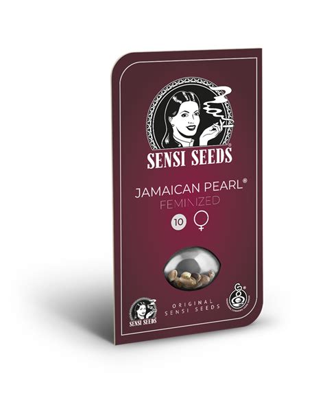 Sementes De Jamaican Pearl Feminizadas Sensi Seeds