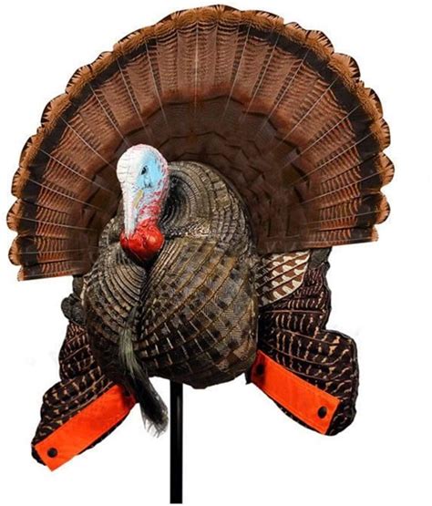 Best Turkey Hunting Decoys 2023 Review Top Most Realistic Decoy