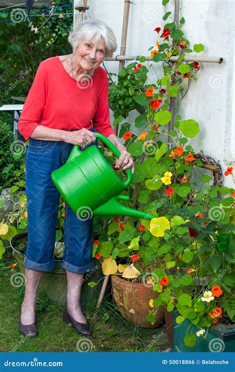 Old Woman Watering Flower Plants At The Garden Stock Photo Image Of