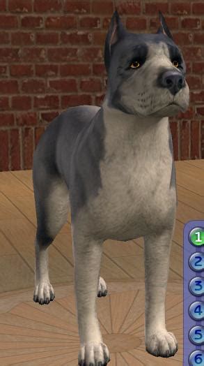 Mod The Sims 2 Redesigned Pitbull Bodies