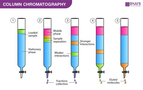 Column Chromatography Principle Procedure Applications And Elution In