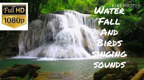 Waterfall And Relaxing Birds Singing 1080p Youtube