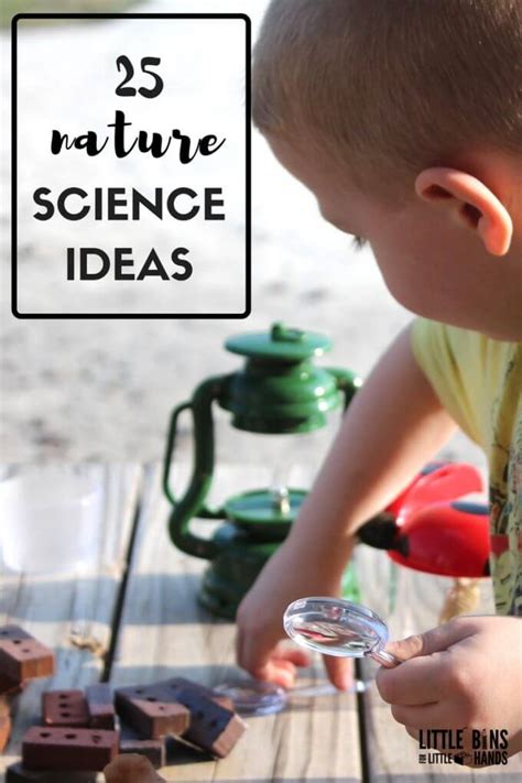 Make an easy diy mystery bag and fill with natural materials for a fun tactile sense activity. Outdoor Nature Science Activities and STEM Projects for Kids