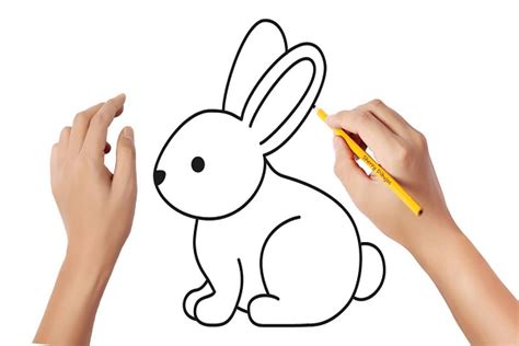 Como Dibujar Un Conejo De Manera Sencilla Conejitos