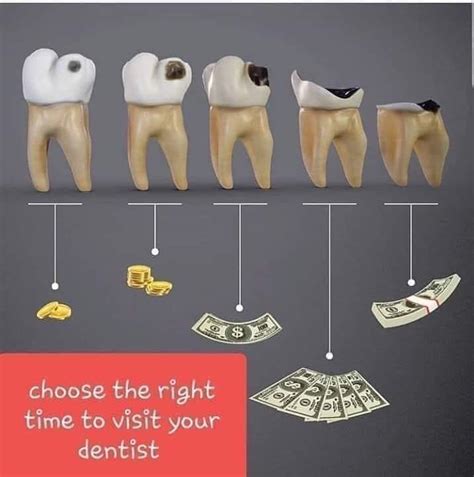 Rivertown Dental Care - General Dentist - Conway, South ...