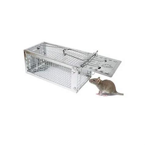 Ss Rat Trap Packaging Type Box At Rs 100piece In Mumbai Id 21667053233