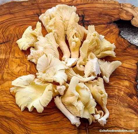 Oyster Mushrooms Properties Health Benefits And Cooking Ideas