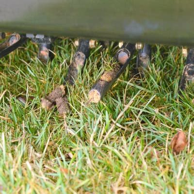 In compacted lawns, aeration improves soil drainage and encourages worms, microfauna and microflora which require oxygen. Summer is Coming: 5 Steps to Prepare Your Lawn - Naturally Green