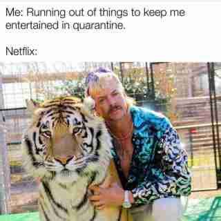 The Best Netflix S Tiger King Memes