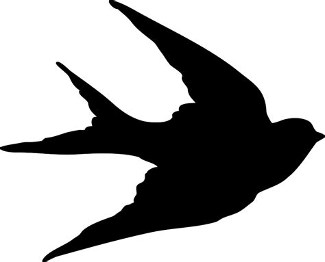 Swallow Png Transparent Image Download Size 917x741px