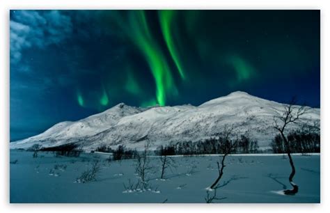 Aurora Borealis Tromso Norway Ultra Hd Desktop Background Wallpaper