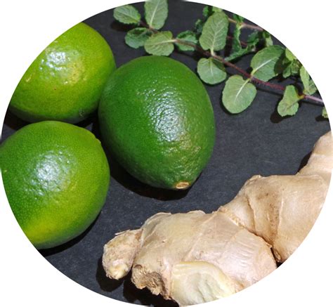 Immunity Boosting Mint Ginger Lime Juice Recipe Eat Fresh Living