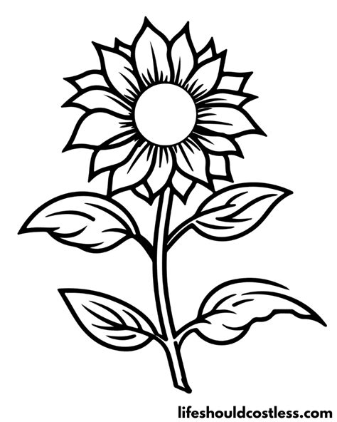 Sunflower Coloring Pages (free printable PDF templates) - Life Should