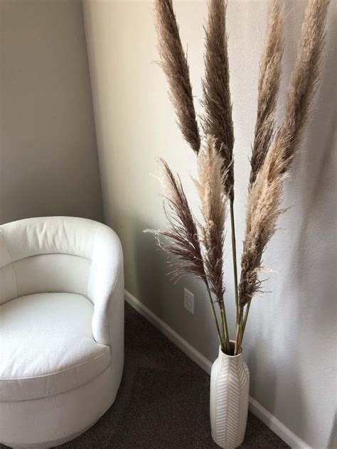 Pampas Grass As Home Decor Wild Foraged And Where To Buy Online