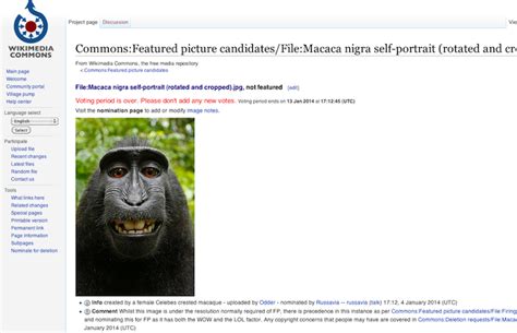 Wikimedia Camera Owner Doesnt Hold Copyright To Monkey Selfie