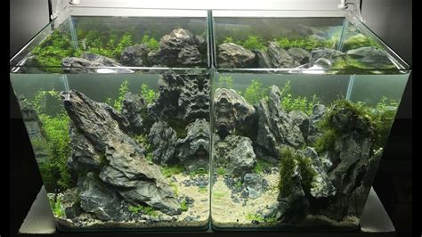 I break down my technique into four sections; Nano aquarium : DUO aquascaping - la plantation - Part 2 ...