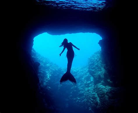 A Real Life Mermaid Who Swims With Sharks Using Her Fish Tail And Holds