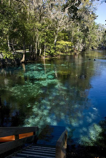 And free parking is available onsite. Ginnie Springs Cabin Rental. | Florida | Pinterest ...