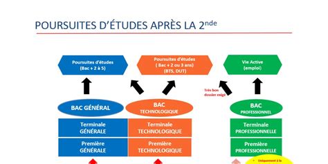 Après La Classe De Seconde Générale Et Technologique