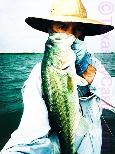 Fly Fishing For Largemouth Bass Archives Fly Fishing In Texas Fly