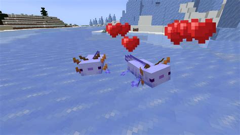 Summoning The Blue Axolotl Minecrafts Command Unveiled
