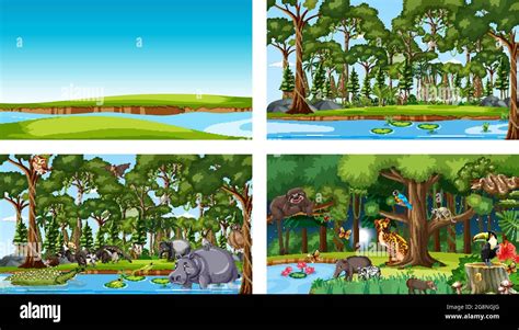 Different Nature Scenes Of Forest And Rainforest With Wild Animals