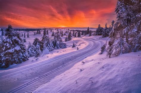 Nature Landscape Winter Snow Norway Trees Sunset