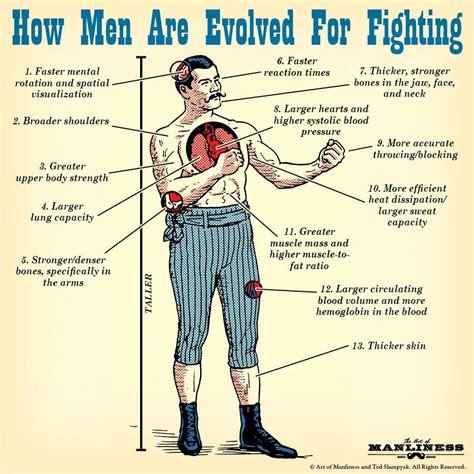 How Men Are Evolved For Fighting According To Science Manliness Art