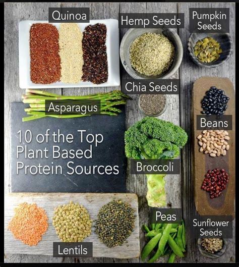 Plant Based Proteins Cartiera