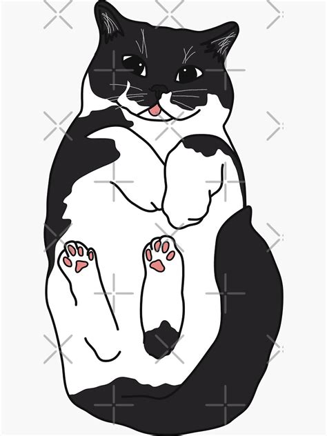 Cute Cat Stickers Cat Meme Cat Loaf Black Cat Toe Beans Pet
