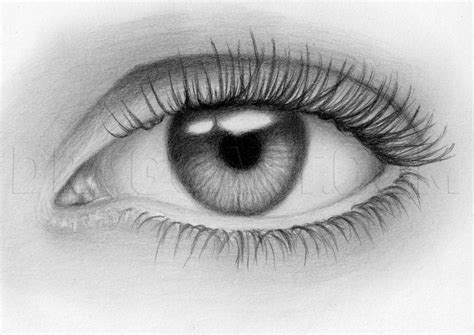 How To Sketch An Eye Step By Step Drawing Guide By Quynhle