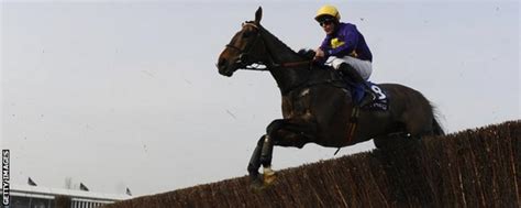 Cheltenham Gold Cup 2014 The Story Behind Lord Windermere Win Bbc Sport