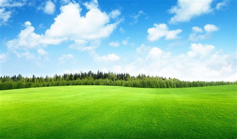 Clouds Trees Field Of Grass Beautiful Nature Landscape Sky