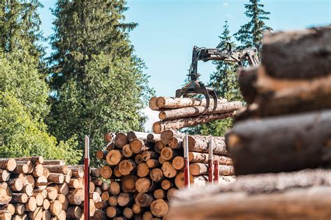 Timber Truck Logging Forestry Operations Free Stock Photo Picjumbo
