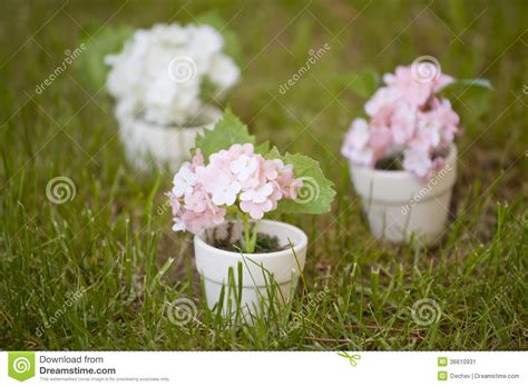 After installing your plants in their pots, mulch with gravel or small crushed stones before placing the pots. Small pots with flowers stock image. Image of plant ...